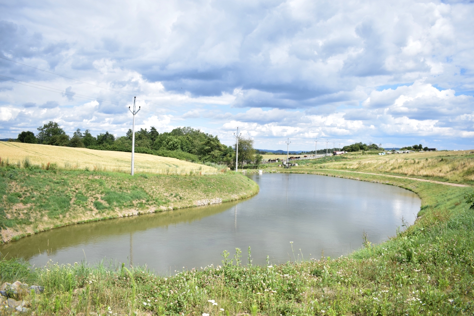 Obec Žďárec - nový rybník